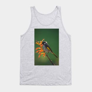 New Holland Honeyeater_7892A Tank Top